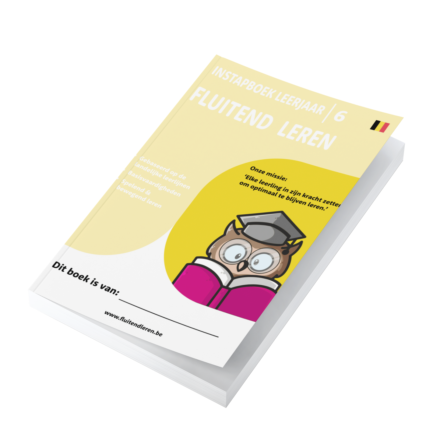 Leerjaar 6 (niveautoetser, digitaal)