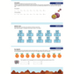Bundel: Groep 4 (e-books)